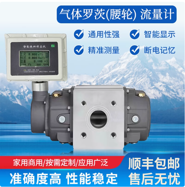 LLQ-200氣體羅茨腰輪流量計(jì)